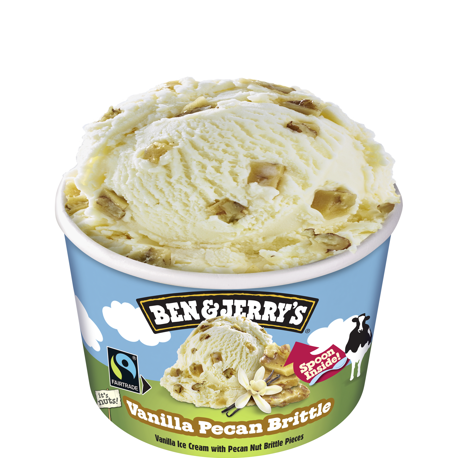 Vanilla Pecan Brittle Original Ice Cream Shorties